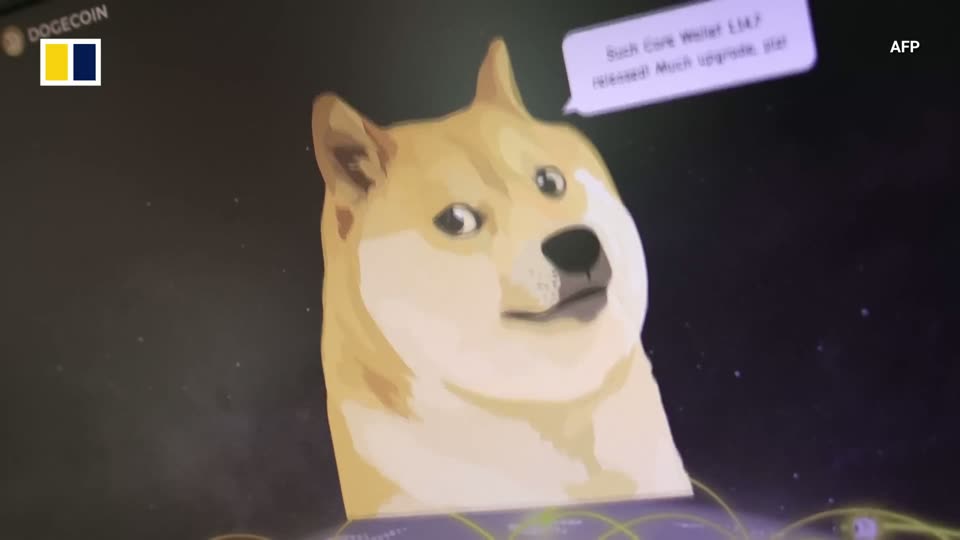 Dogecoin logo with the doge face