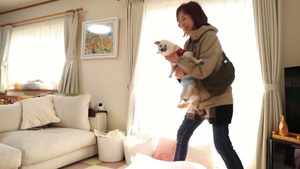 Atsuko Sato carrying Kabosu at home