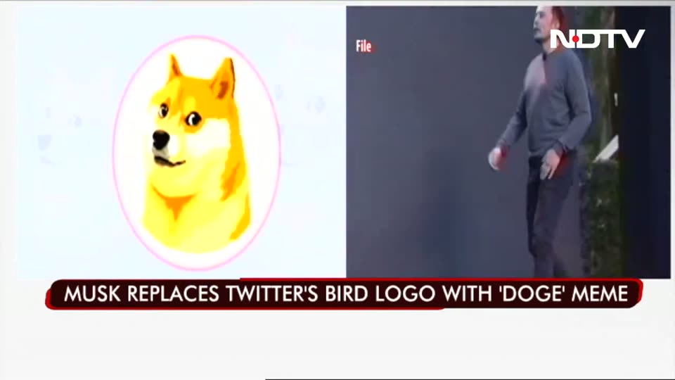 NDTV report on the doge twitter logo